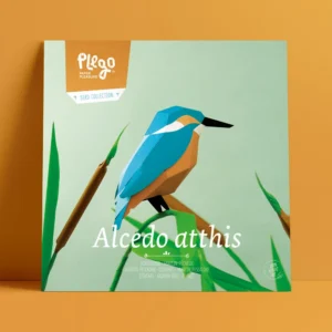 Alcedo Atthis - Martín Pescador | Kit Origami 3D
