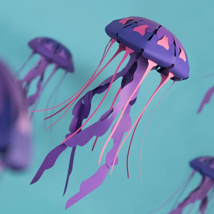 Chrysora Hysoscella - Medusa Compás | Colección Marina Sin Pegamento - Image 3