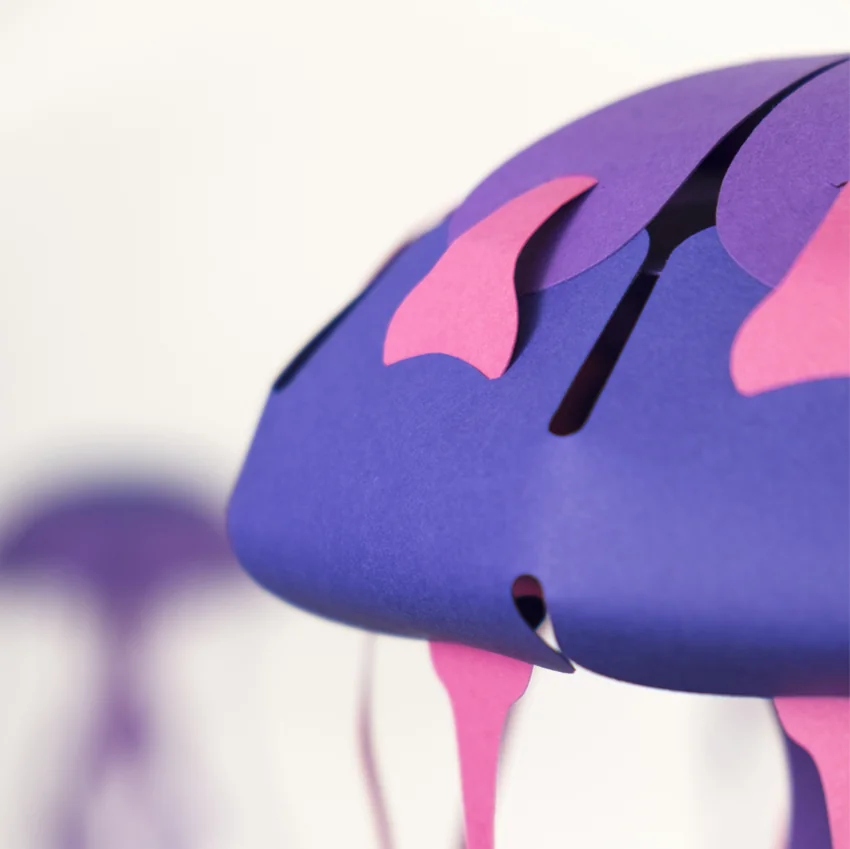 Chrysora Hysoscella - Medusa Compás | Colección Marina Sin Pegamento - Image 7