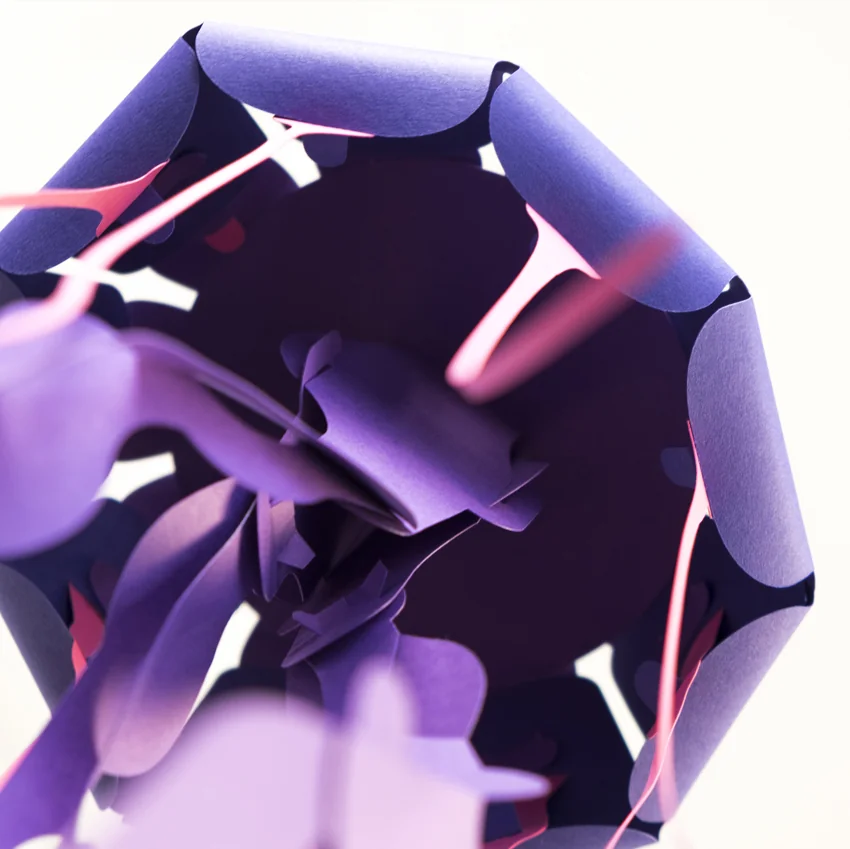 Chrysora Hysoscella - Medusa Compás | Colección Marina Sin Pegamento - Image 8