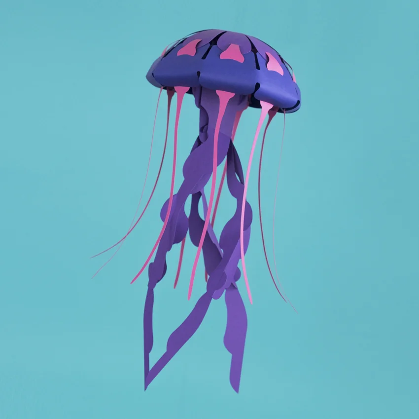 Chrysora Hysoscella - Medusa Compás | Colección Marina Sin Pegamento - Image 2