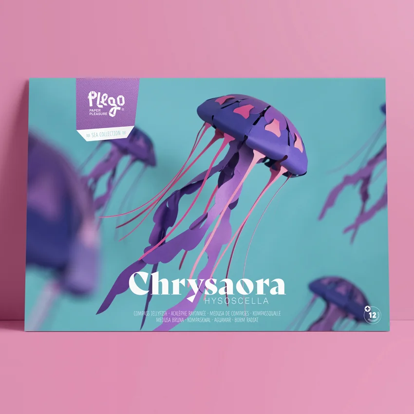 Chrysora Hysoscella - Medusa Compás | Colección Marina Sin Pegamento