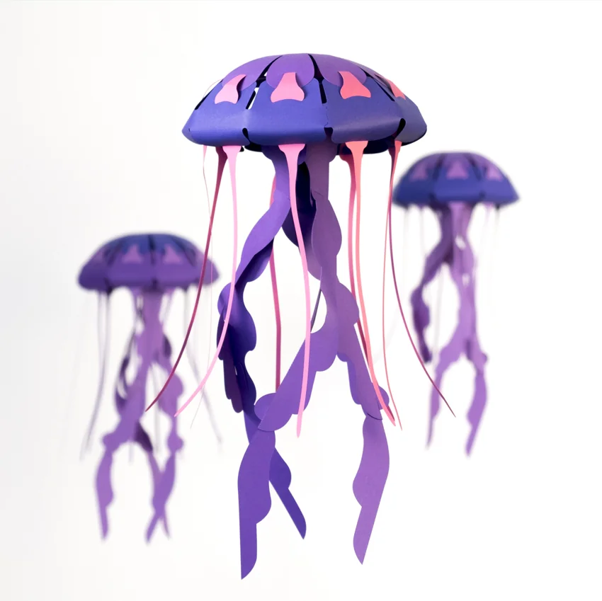 Chrysora Hysoscella - Medusa Compás | Colección Marina Sin Pegamento - Image 5