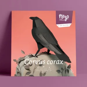 Corvus Corvax - Cuervo Negro | Kit Origami 3D Premium