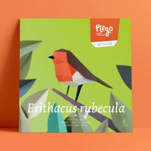 Erithacus Rubecula - Petirrojo Europeo | Kit Origami 3D