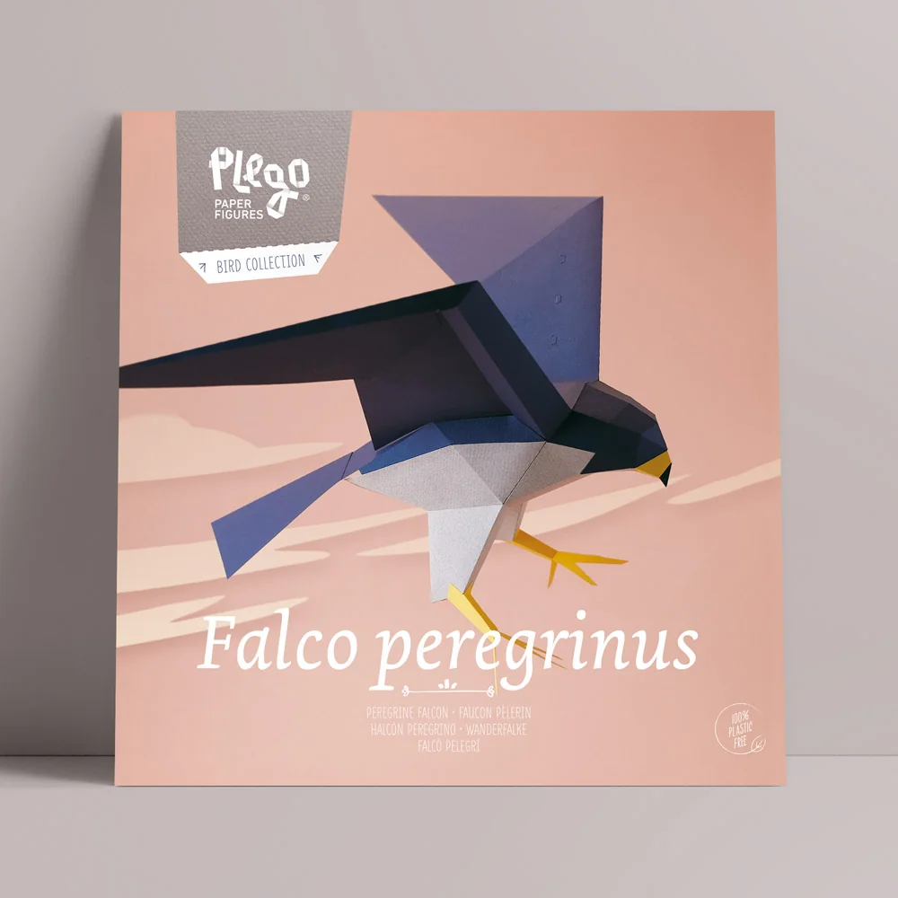 Falco Peregrinus - Halcón Peregrino | Kit Origami 3D Experto