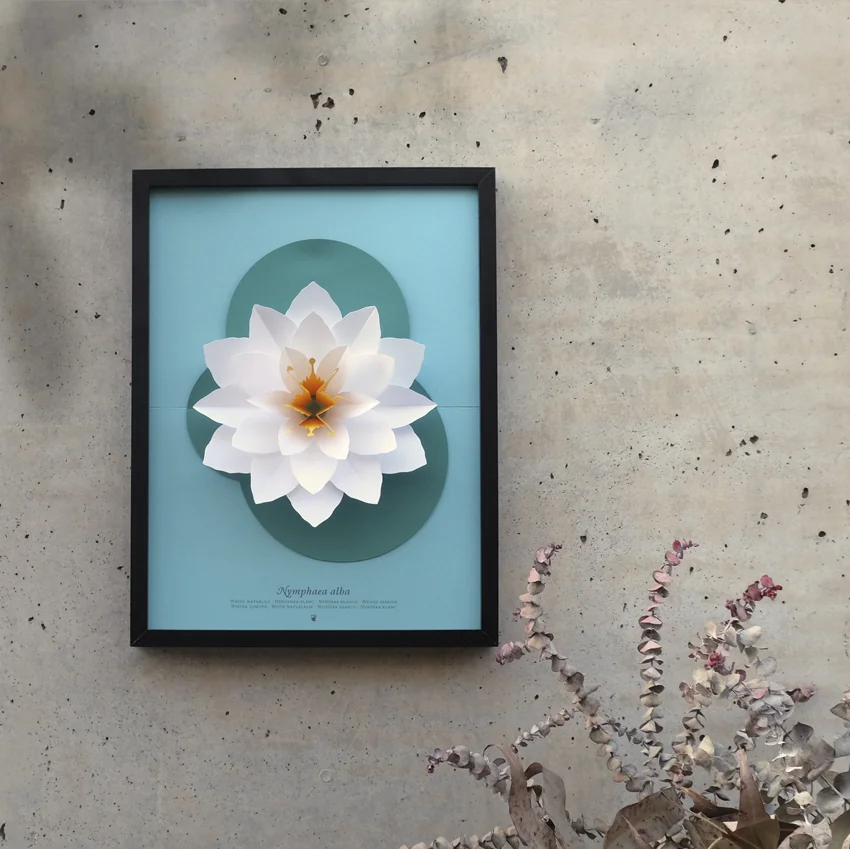 Nymphaea Alba - Nenúfar Blanco Pop-up | Kit Arte en Papel - Image 2