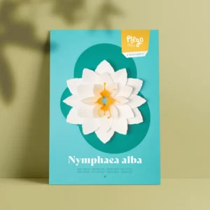 Nymphaea Alba - Nenúfar Blanco Pop-up | Kit Arte en Papel